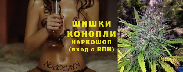 индика Покровск