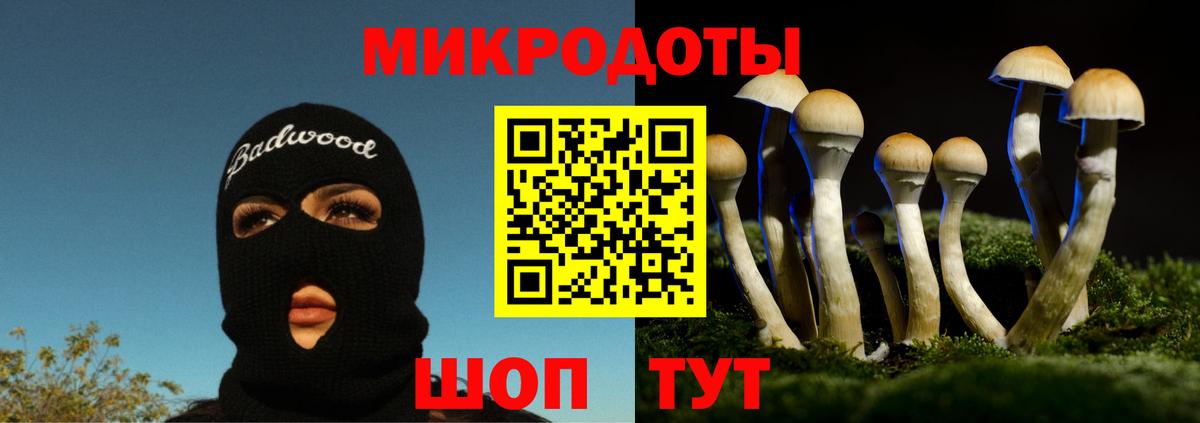 Галлюциногенные грибы мухоморы Урюпинск